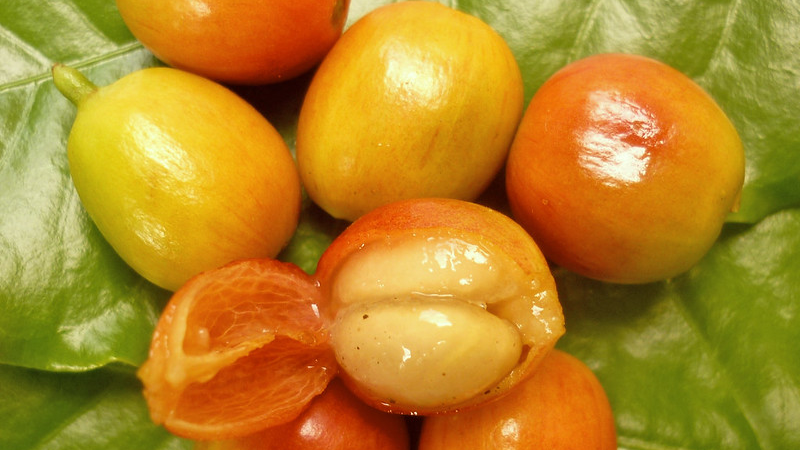 20948075143_c7e1b519ee_c