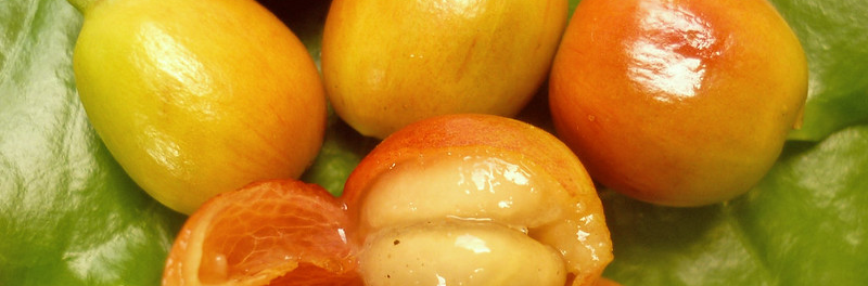 20948075143_c7e1b519ee_c